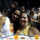 Bloco Skol Folia